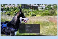 How to prevent OLED burn-in on a gaming monitor